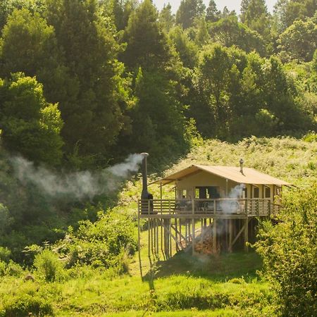 Africamps Magoebaskloofヴィラ エクステリア 写真
