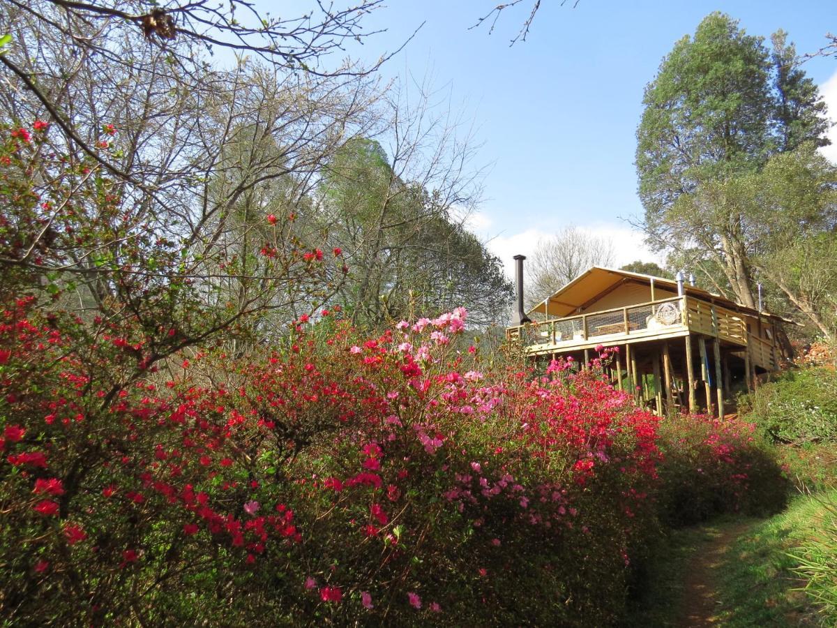 Africamps Magoebaskloofヴィラ エクステリア 写真