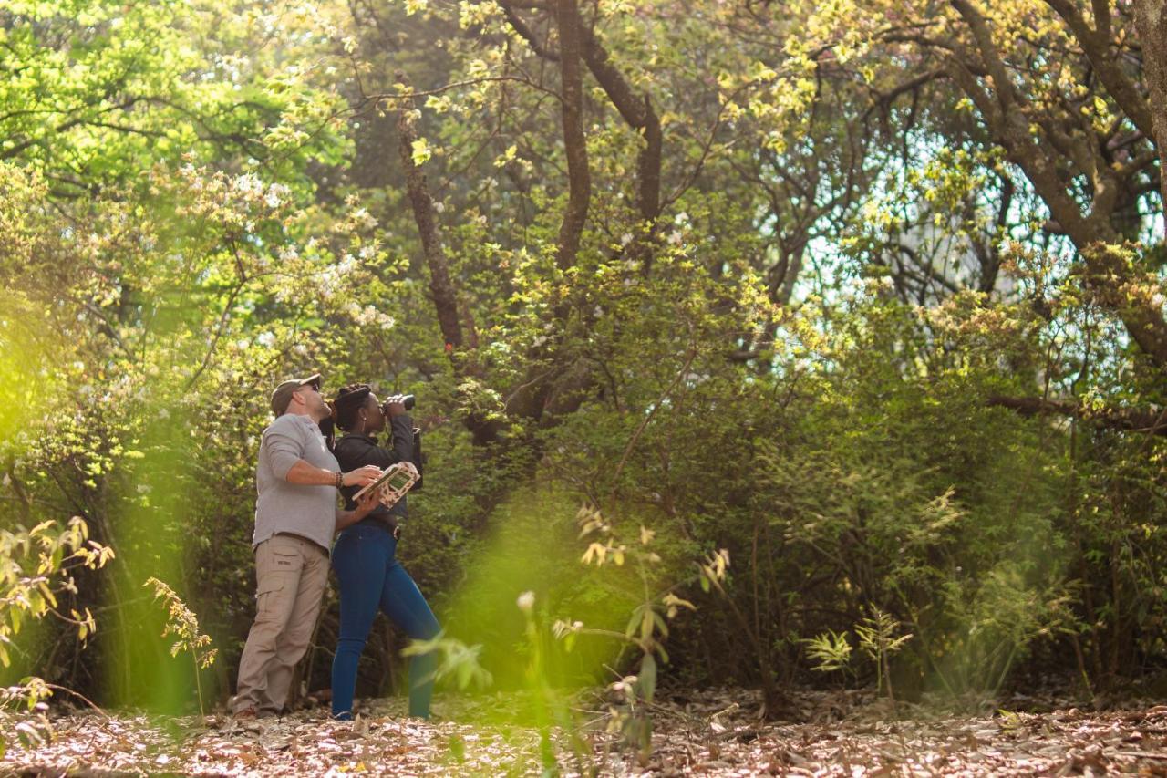 Africamps Magoebaskloofヴィラ エクステリア 写真