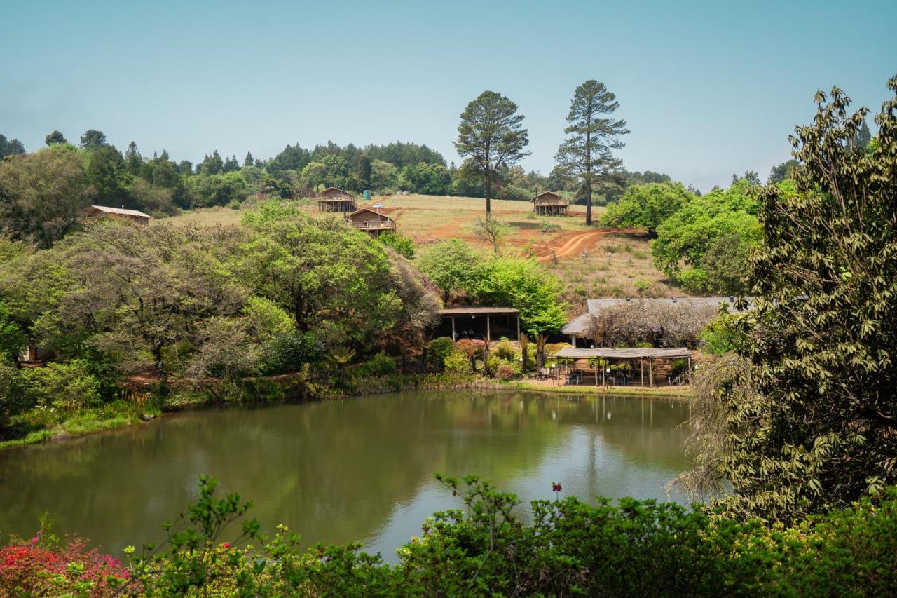 Africamps Magoebaskloofヴィラ エクステリア 写真